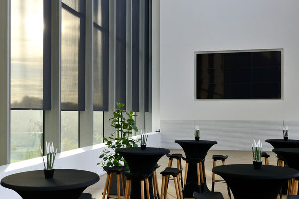 Brustor screens indoor hero